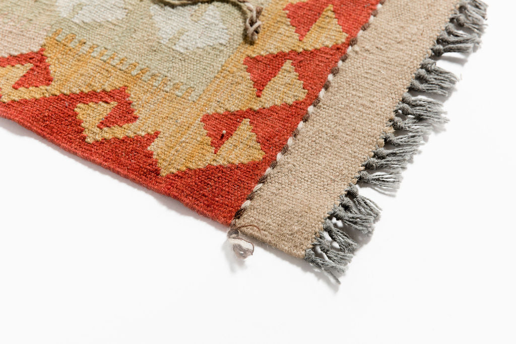 Medusa Medium Runner