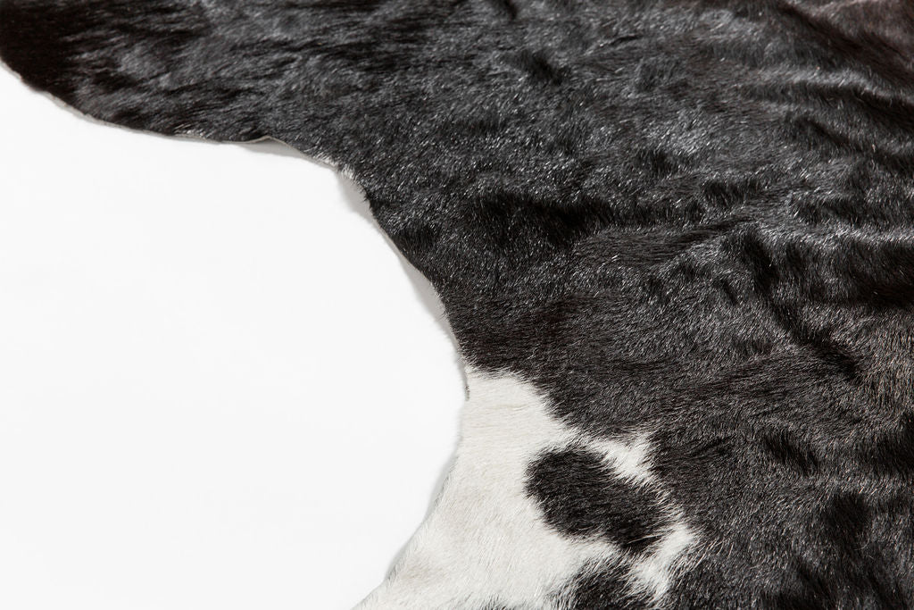 Charred Cowhide