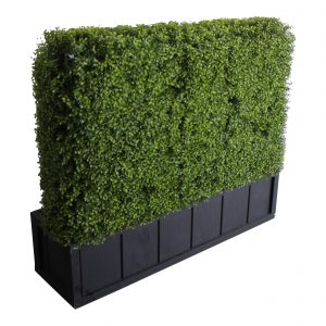 4' Double-Sided Hedge Wall