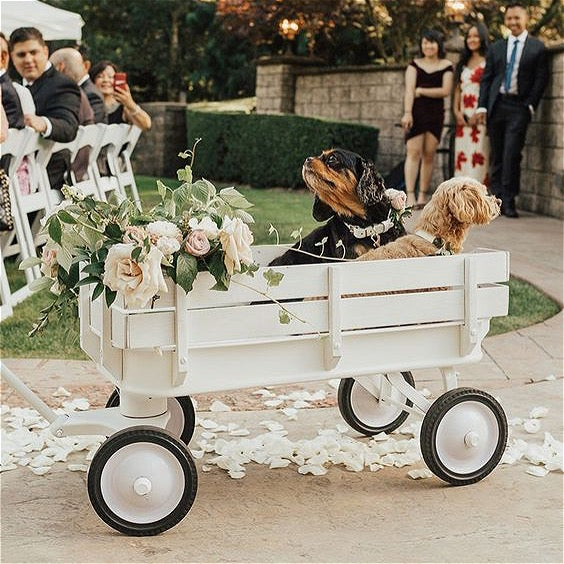 White Wagon