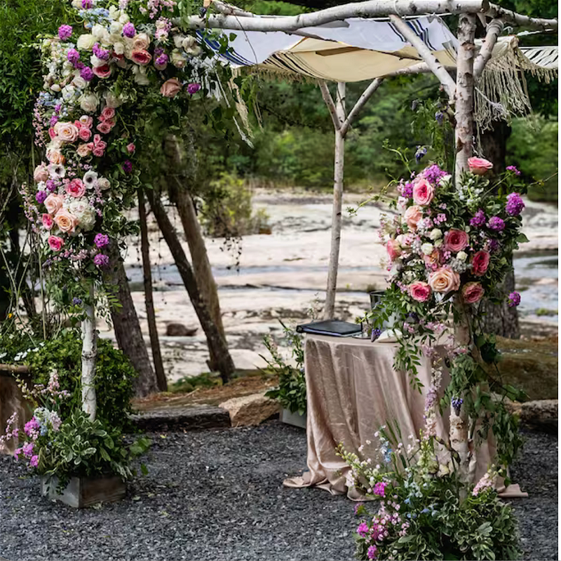 White Birch Chuppah