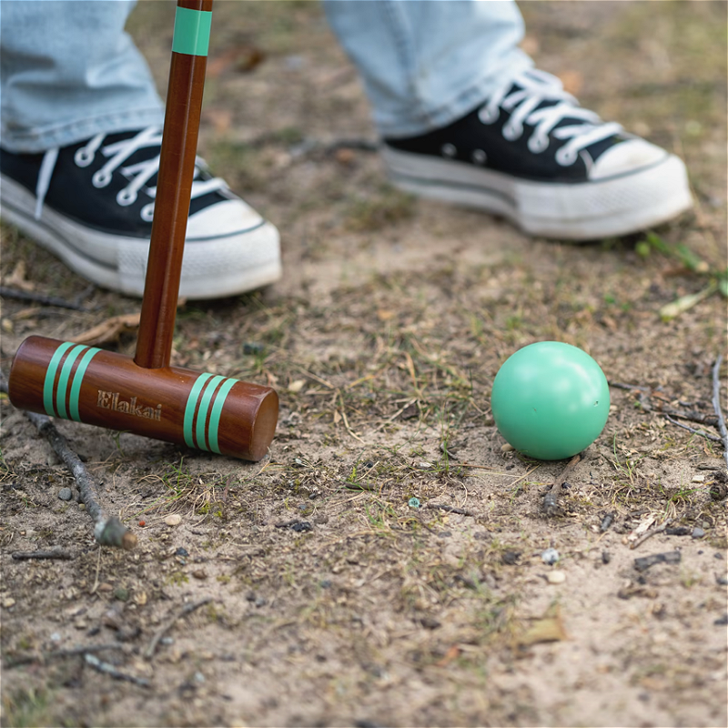 Croquet Game