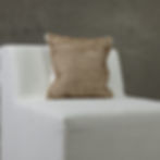 Pillow 53