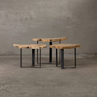 Trunk Table