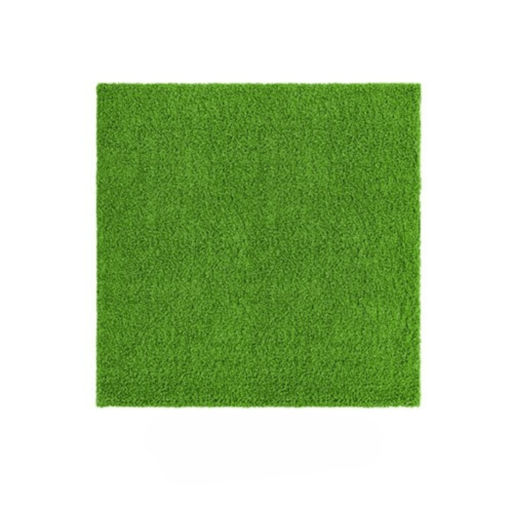 Grass Area Rug