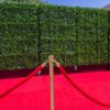 Hedge Wall
