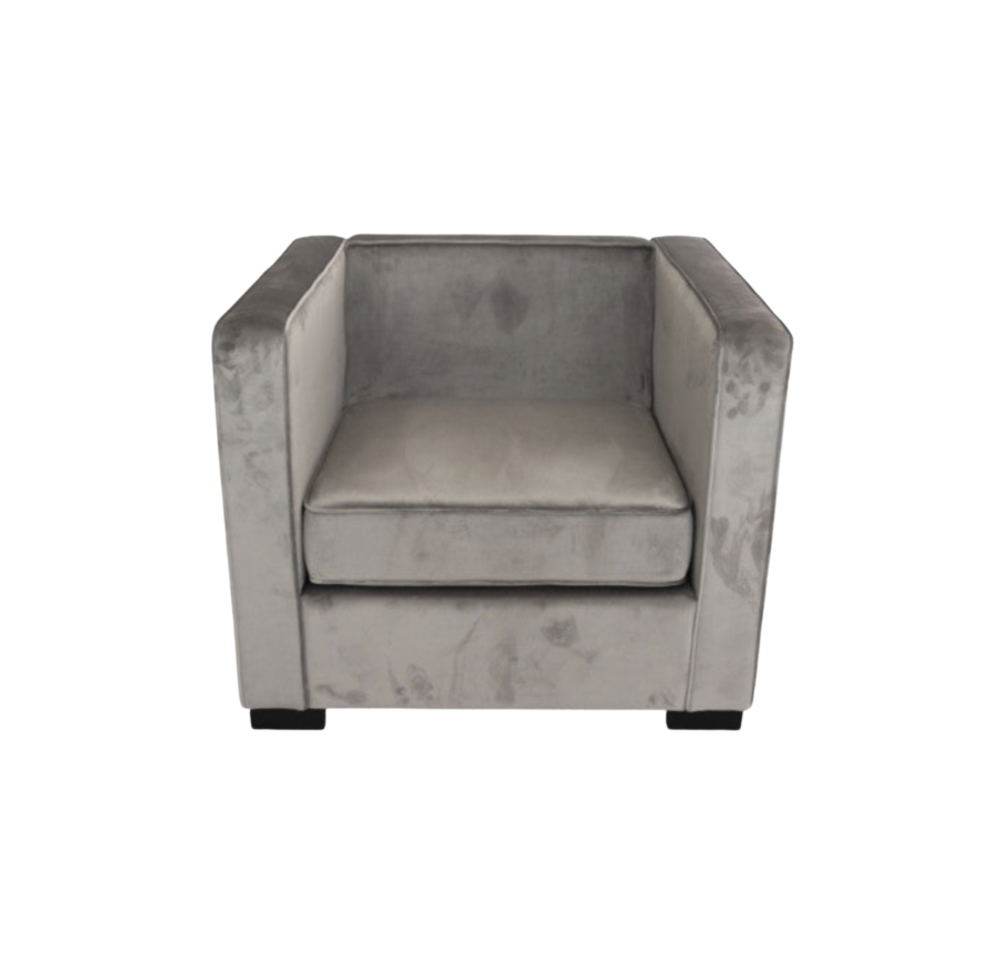 Jayson Chair – Platinum Velvet