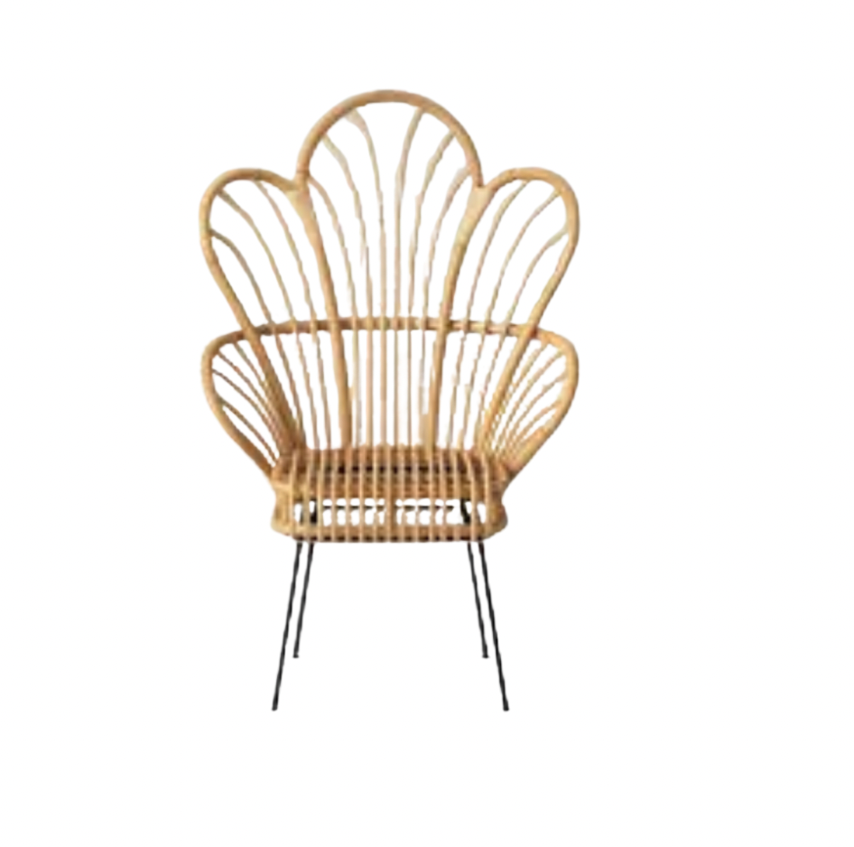 Fan Back Chair