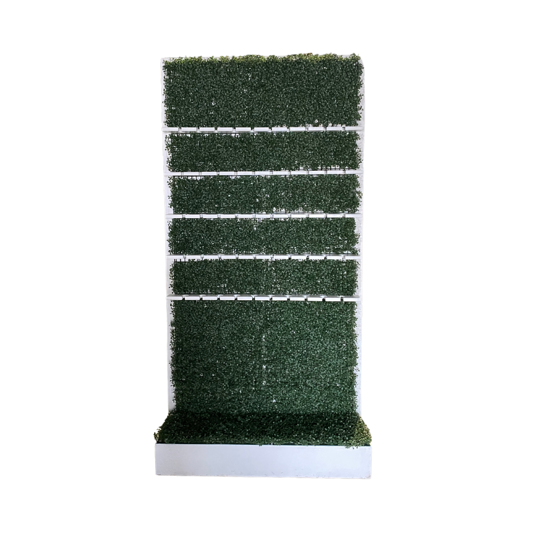 Champagne Wall