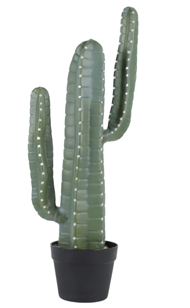 26" Potted Cactus