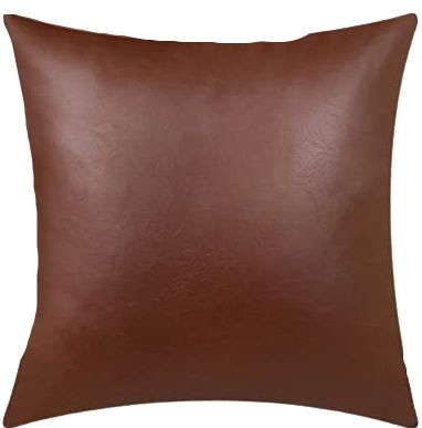 Leather Pillows