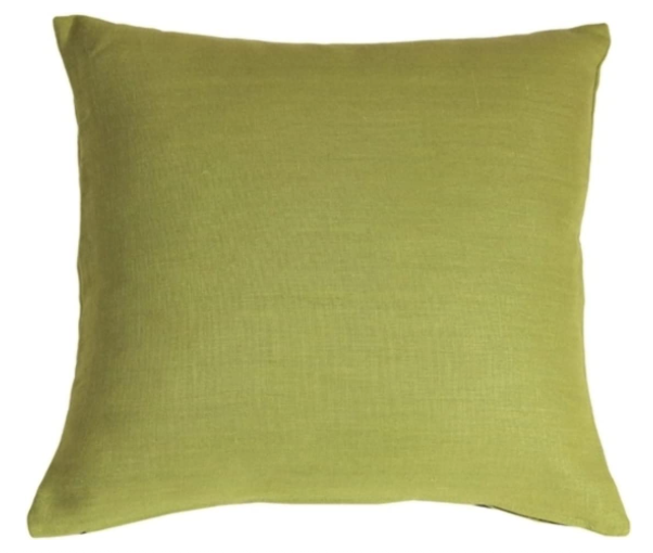 Apple Green Pillows