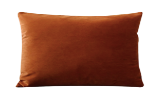 Light Rust Lumbar Pillow