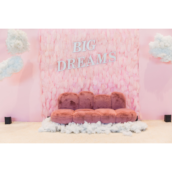 Light Pink Feather Wall