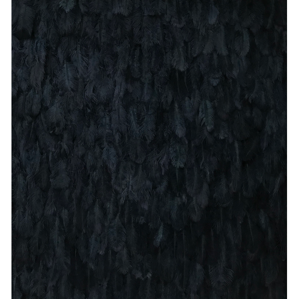 Navy Blue Feather Wall