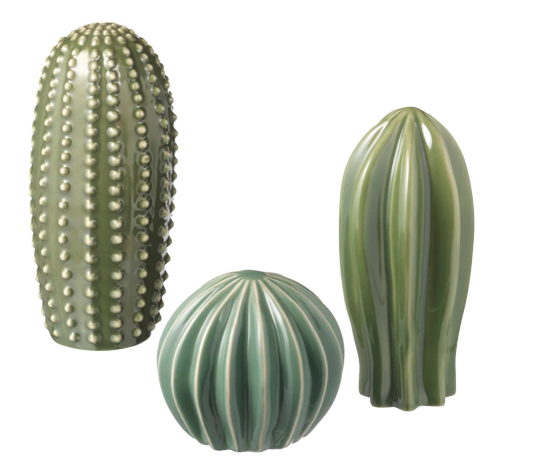 Ceramic Cactus Decor Set