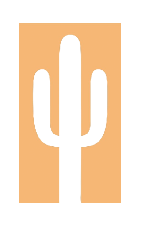 Orange 4'x8' Neon Acrylic Cactus Wall