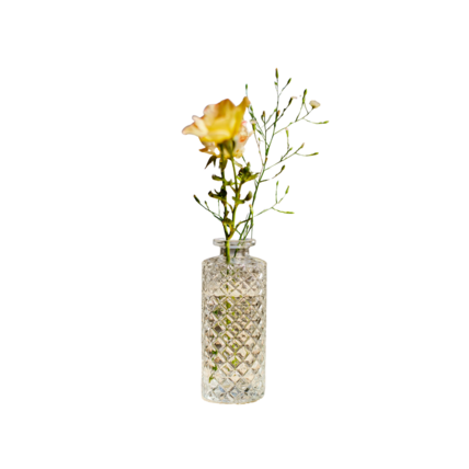 Bud Vases (Set of 3)