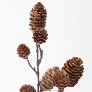Pine Cone Pick