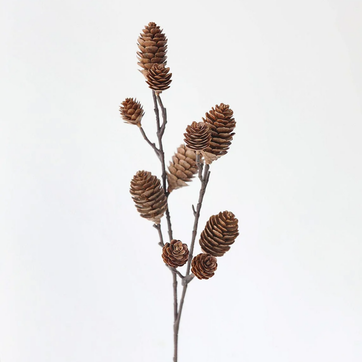 Pine Cone Pick
