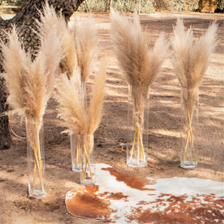 Glass Cylinder Vase - X-Large