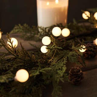 Snow Berries Lights
