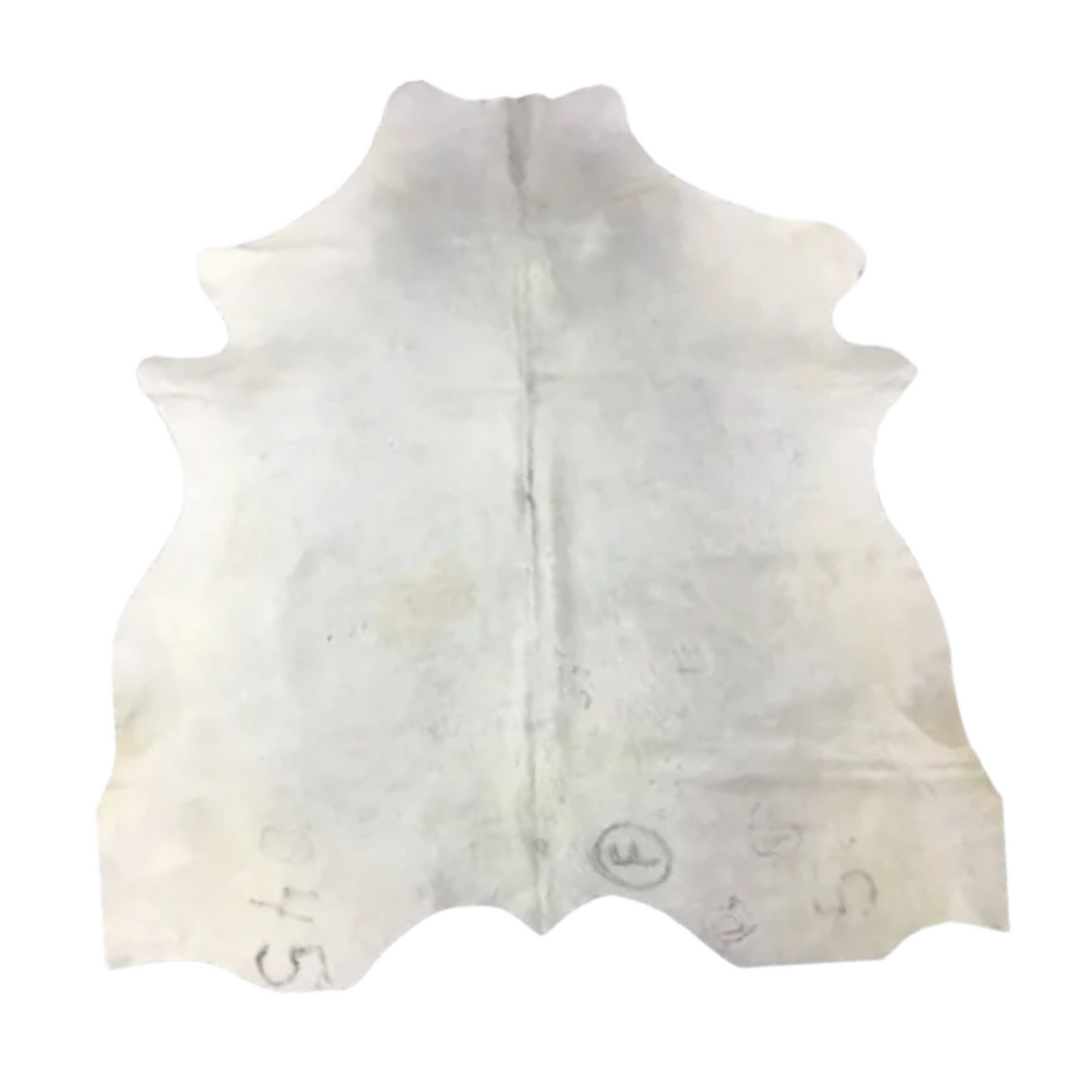 Clamity: Branded Cowhide