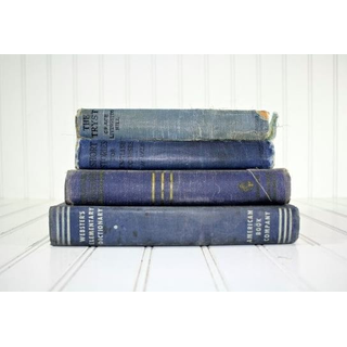 5 Stack of Blue Vintage Books