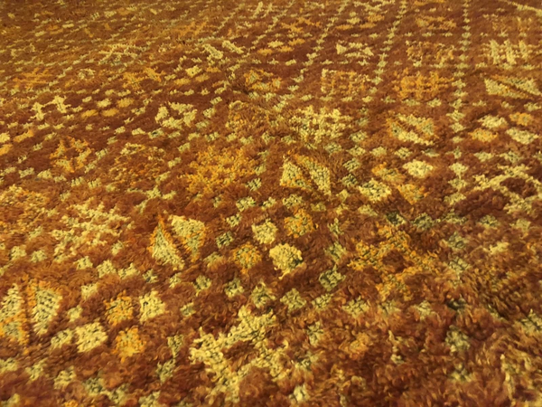 Sunset over Sahara Rug