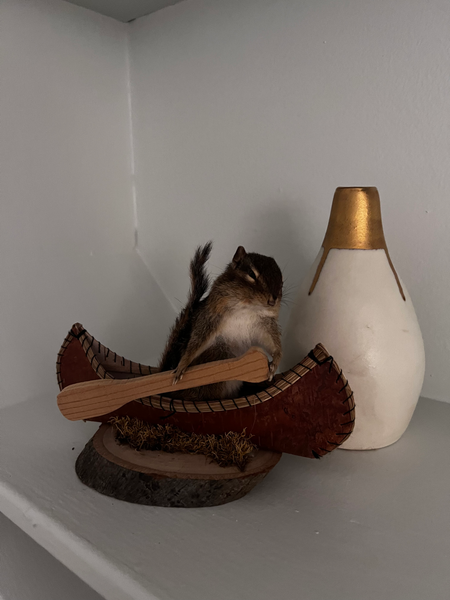 Squirrel & Chipmunk Buddies