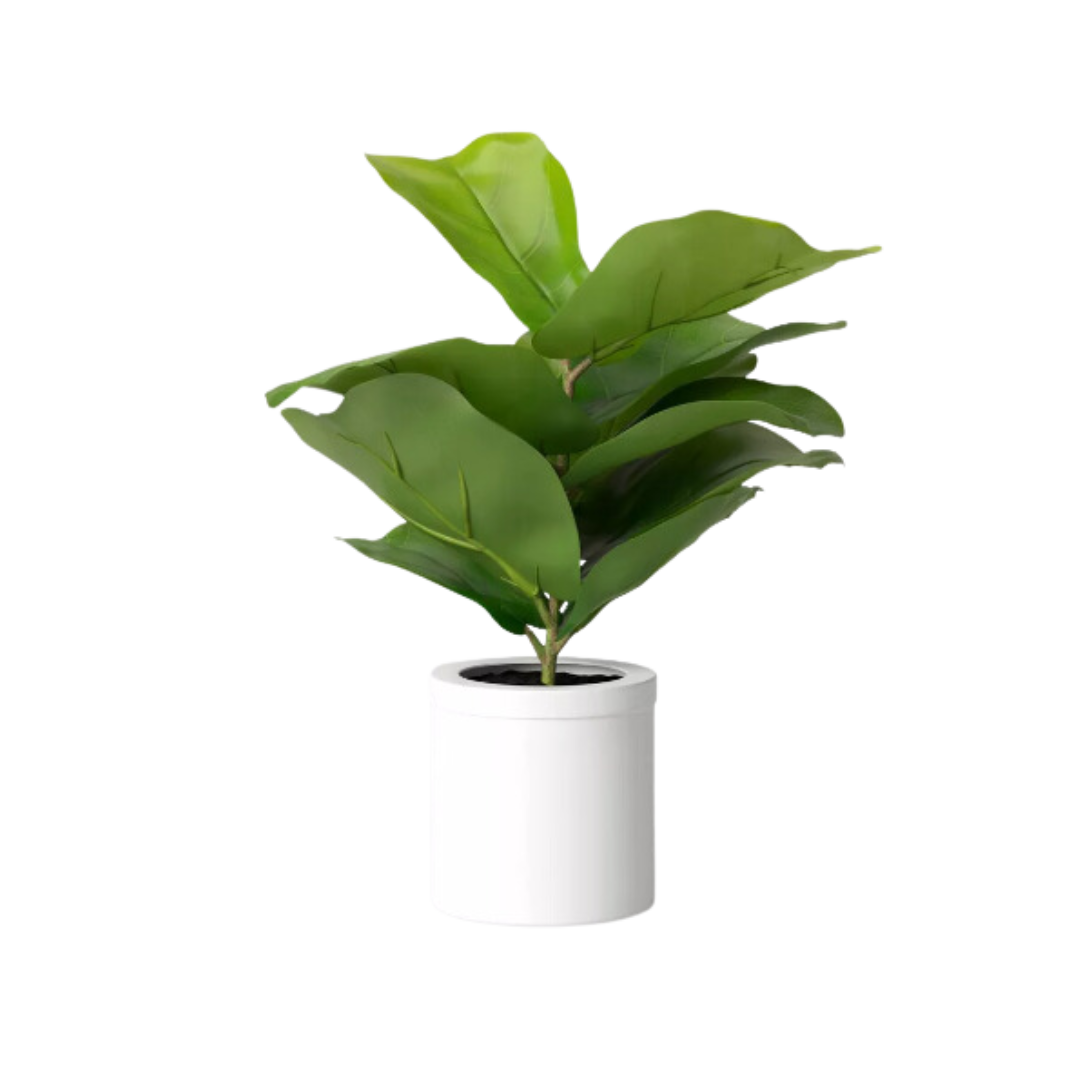Plant, Faux Fiddle Leaf Fig - Small