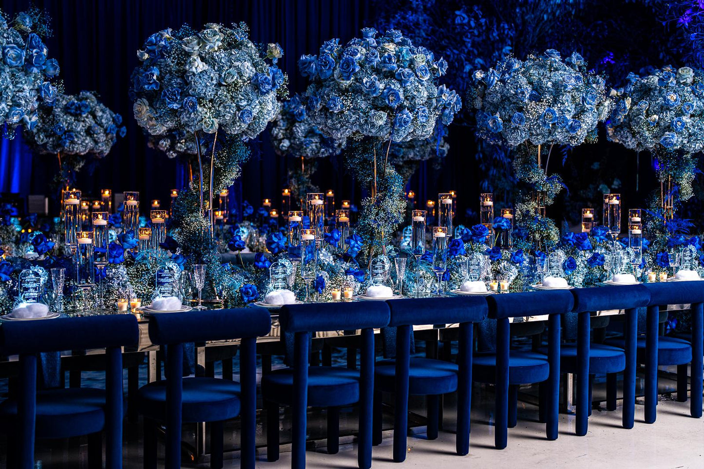 Mooie Navy Blue Chair