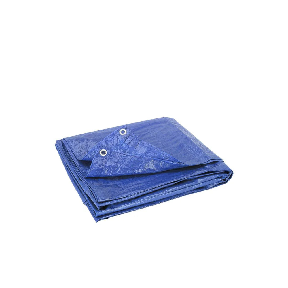Tarp