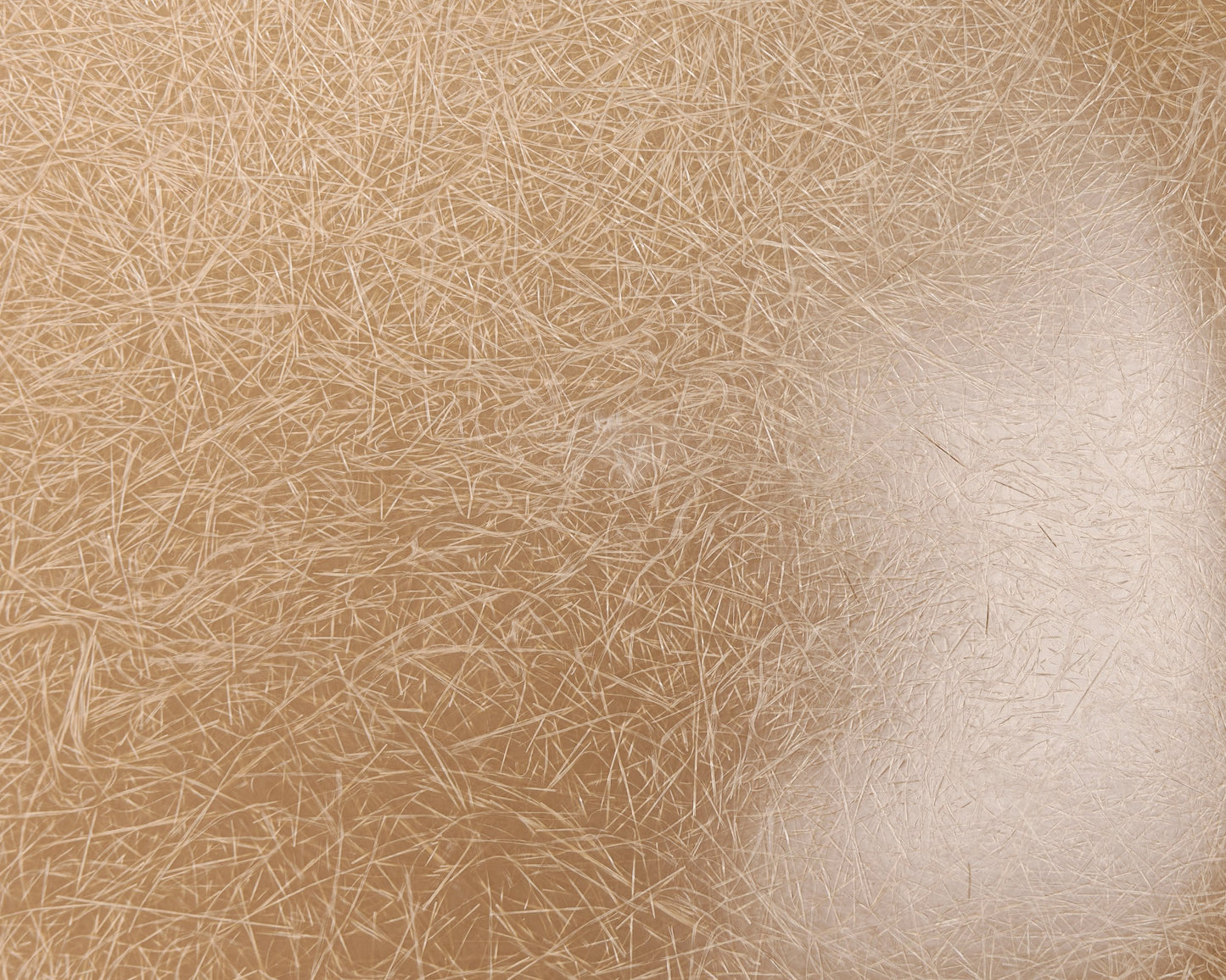 Taupe Eames Fiberglass Shell Chair