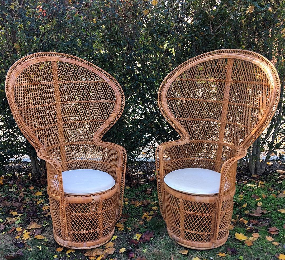 Talitha Peacock Chairs