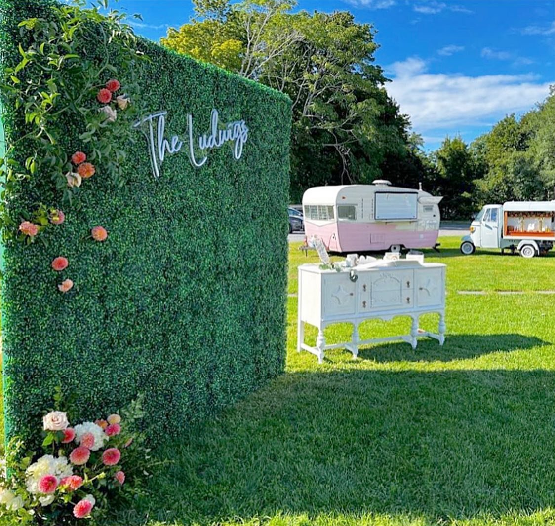 Faux Boxwood Backdrop