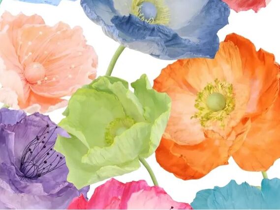 Summer Poppies - Elegant Props