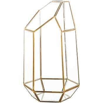 Gold Geometric Heptagon Glass Terrarium
