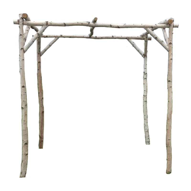 White Birch Chuppah
