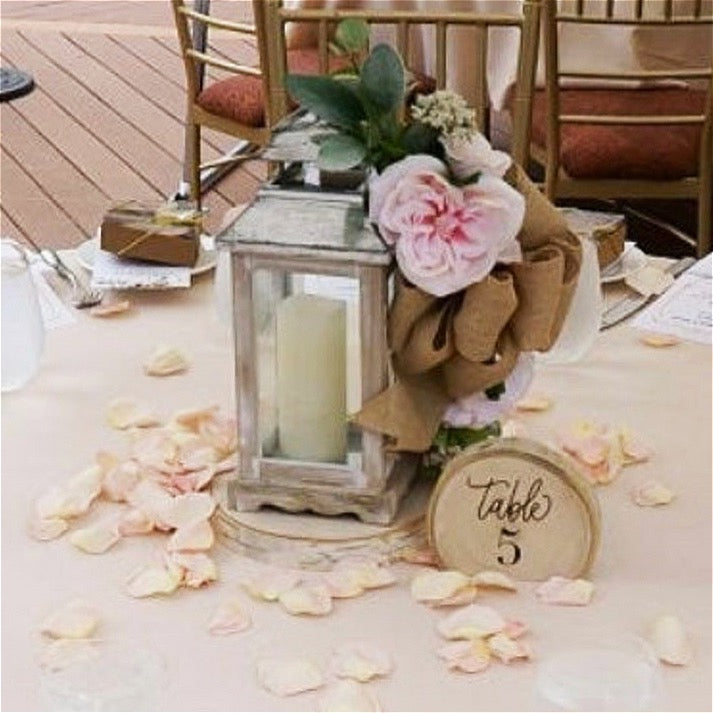 Aspen Wood Slice Table Numbers