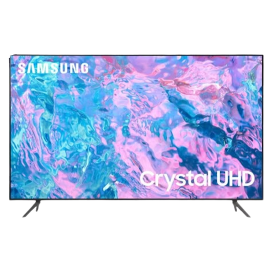 65" Flat Screen TV