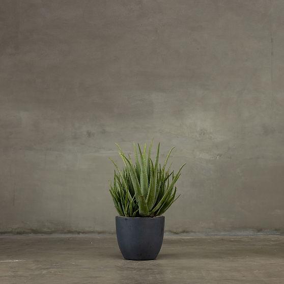 Charcoal Planter