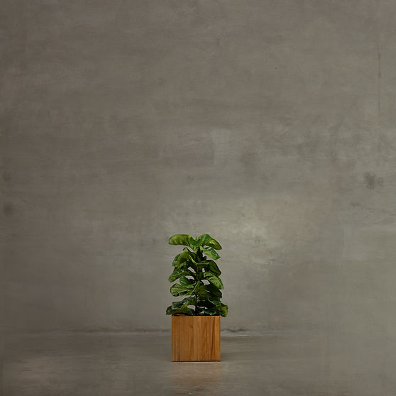 Legno Planter