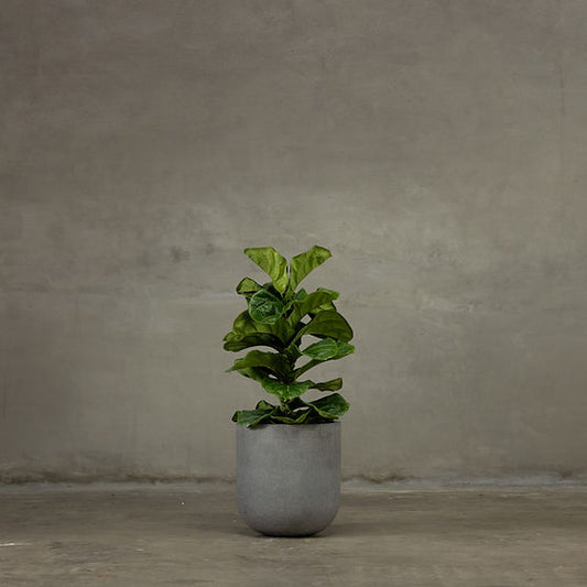 Bold Planter