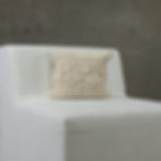 Pillow 51