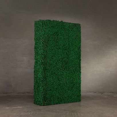 Hedge Wall