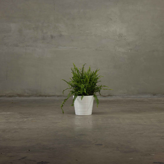 Tabletop Vase