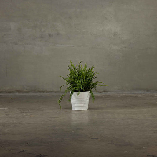 Tabletop Vase