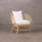 Rattan Armchair
