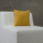 Pillow 61